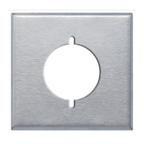 Dryer/Range Wall Plate - 2 Gang Single Hole, Standard Size, Stainless Steel
